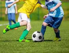 电竞奥运会,延期举办,探寻未来发,体彩大发彩票网,体育彩票,大发彩票网,足球彩票,篮球彩票,官方网站