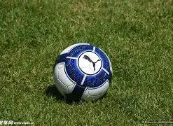 大发彩票,资讯,体彩大发彩票网,体彩大发彩票网,体育彩票,大发彩票网,足球彩票,篮球彩票,官方网站