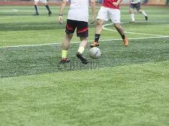 揭秘福彩,年第,杀蓝攻略大,体彩大发彩票网,体育彩票,大发彩票网,足球彩票,篮球彩票,官方网站