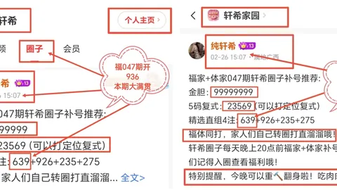 [彩市秘籍大公开]揭秘排列三第2026036期：胆拖技巧不容错过，错过必悔！