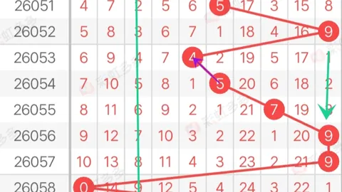 大乐透2026026期同期号解析：专家排除重号推荐