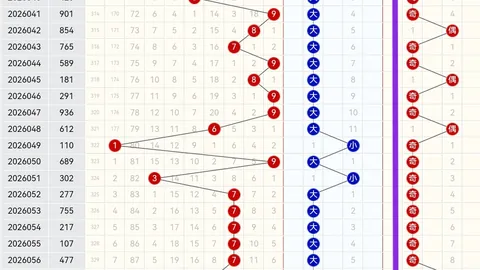 第2026026期 金哥铁胆预测2026026期大乐透前区胆