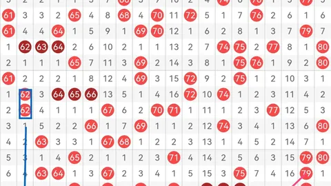 双色球第2026038期专家分析：龙头凤尾看09、23，三区