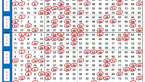 大乐透1214期专家高芸推荐：总揽方案再冲大奖